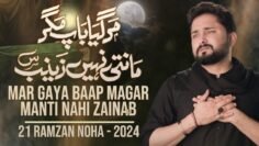 21 Ramzan Noha 2024 – Mar Gaya Baap Magar Manti Nahi Zainab | Syed Raza Abbas Zaidi #shorts
