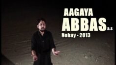 Aa Gaya Abbas ع | Nohay 2013 | Syed Raza Abbas Zaidi