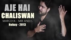 Aaj Hai Chaliswan | Nohay 2013 | Syed Raza Abbas Zaidi