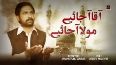 Aaqa Aa Jaiye – Shahid Ali Abbas | manqabat Mola Imam Mehdi A.s 2020