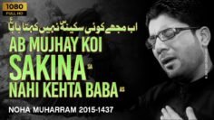 Ab Mujhay Koi Sakina Nahi Kehta Baba – Mir Hasan Mir – New Noha 2015-16 [HD]