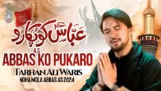Abbas Ko Pukaro | Nohay 2024 | Alam | Farhan Ali Waris