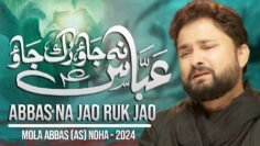 Abbas Na Jao Ruk Jao | Syed Raza Abbas Zaidi | Nohay 2024 | Muharram 1446 / 2024 | Mola Abbas Noha