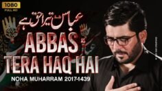 Abbas(as) Tera Haq Hai | Mir Hasan Mir | New Noha 2017 /1439 [HD]