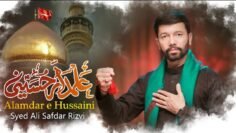 Alamdar e Hussaini a.s  | Ali Safdar Noha |Muharram 2024 /1446