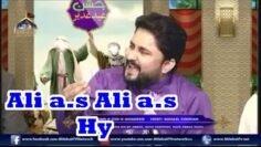 Ali a.s Ali a.s Hai | Live Manqabat | Syed Raza Abbas Zaidi