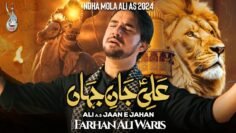 Ali Jan e Jahan | New Nohay 2024 | Farhan Ali Waris | Mola Ali