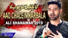 Ali Shanawar | Aao Chalein Karbala | 1441 / 2019