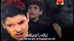 Ana Ali Bin Ul Hussain, Ali Shanawar & Ali jee 2013 14