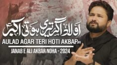 Aulad Agar Teri Hoti Akbar | Syed Raza Abbas Zaidi | Nohay 2024 | Muharram 1446 / 2024 | Noha 2024