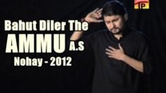 Bahut Diler The Ammu ع | Nohay 2012 | Syed Raza Abbas Zaidi