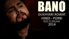 Bano ع Dukhyari Rowat Hai – Hindi Porbi Noha | Nohay 2014 | Syed Raza Abbas Zaidi