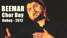 Beemar Chor Day | Nohay 2012 | Syed Raza Abbas Zaidi