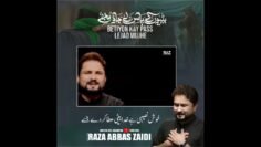Betiyon Ke Pass Lejao Mujhe | Syed Raza Abbas Zaidi | 21 Ramzan Noha | Shahadat Mola Ali