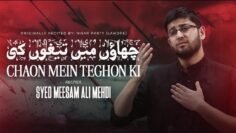 Chaon Mein Teghon Ki | Syed Meesam Ali Mehdi | New Nohay 2024 | Muharram 2024/1446 | Qadeemi Noha