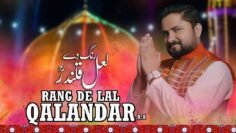 Dhamal 2018 – RANG DE LAL QALANDAR r.a – رنگ دے لعل قلندر -New Dhamal 2018 – Syed Raza Abbas Zaidi