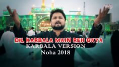 DIL KARBALA MAIN REH GAYA – Karbala Version – Nohay 2018 | Syed Raza Abbas Zaidi | Noha 2019 1440H
