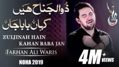 Farhan Ali Waris | Zuljanah Hain Kahan Baba Jan | 2019 | 1441