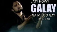GALAY NA MILOO GAY | Nohay 2011 | Syed Raza Abbas Zaidi
