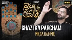 GHAZI KA PARCHAM | Mir Sajjad Mir Nohay 2024 | Muharram 2024 | Mola Abbas Noha