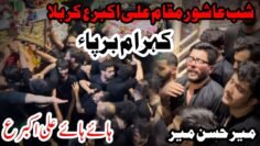 Haye Haye Ali Akbar | Shab e Ashour | Live Noha Mir Hasan Mir | Karbala Iraq |