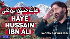 Haye Hussain Ibn Ali | Nadeem Sarwar | 45th Album – 2024 / 1446