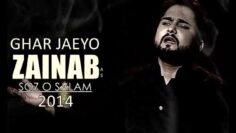 Jab Sham Say Ghar Jaeyo Zainab ع | Nohay 2014 | Syed Raza Abbas Zaidi