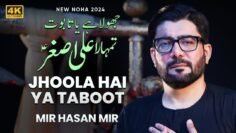 Jhoola Hai Ya Taboot Tumhara Ali Asghar | Mir Hasan Mir Nohay 2024 | Muharram 2024/1446