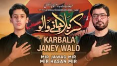 Karbala Janay Walon | Mir Jawad Mir | Mir Hasan Mir Nohay 2024 | Muharram 2024/1446