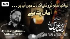 Kia Kia Sitam Guzar Gaye | Syed Raza Abbas Zaidi | New Noha Ayam e Fatmiyah 2019 / Bibi Fatima Zehra