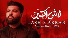 Lash e Akbar (as) | Mesum Abbas New Nohay 2024 | Hazrat Ali Akbar Noha | Muharram 1446