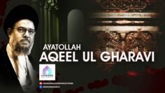 Live | 13th Muharram | Ayatullah Aqeel Ul Gharavi | Jamai Masjid Mustafa | Abbas Town