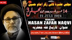🔴LIVE | 14th Muharram 2024 | Maulana Hasan Zafar Naqvi | Ashrah-e-Sani Majlis#3 | Shah-e-Karbala