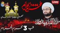Live Majlis Shab e 3 Muharram 1446 | Maulana Kumail Mehdavi | MSK