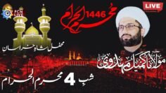 Live Majlis Shab e 4 Muharram 1446 | Maulana Kumail Mehdavi | MSK