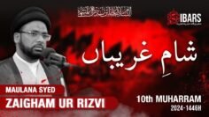 🔴LIVE MAJLIS SHAM E GHAREEBA | 10th Muharram 1446H | Maulana Syed Zaigham Rizvi