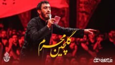 Mahdi Rasouli – Selected Maddahi (Muharram) | گلچین بهترین مداحی های محرم حاج مهدی رسولی