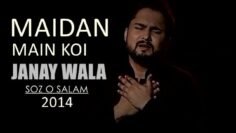 Maidan Main Koi Janay Wala | Nohay 2014 | Syed Raza Abbas Zaidi