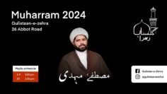 Majlis 08 | 8th Muharram 1446 | Maulana Mustafa Mehdi | Shabeeh-e-Zuljanah [Re-uploaded]