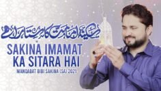 Manqabat 2021 | Sakina Imamat Ka Sitara Hai  | Syed Raza Abbas Zaidi  | Bibi Sakina Manqabat  | 1442