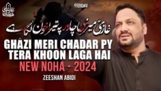 Mola Abbas Noha 2024 | Ghazi Meri Chadar Pe Tera Khoon Laga Hai | Muharram Nohay 2024| Zeeshan Abidi