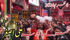Mola ali asghar as ki shahadat ki manzar kashi mola hussain as k rozy mein|6 muharram 2024 karbala