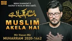 MUSLIM AKELA HAI | Mir Hasan Mir Nohay 2020 | 9 Zilhaj Noha | Shahadat Muslim bin Aqeel Noha 2020