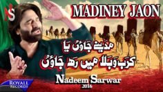 Nadeem Sarwar | Mediney Jaun | 2016