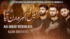 Nai Akbar (a.s) Veeran Aya | Punjabi Noha | Vichora | Kazmi Brothers | Muharram Nohay 2024/1446