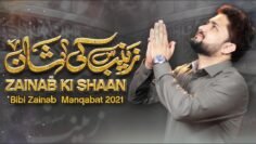 New Manqabat 2021 | Zainab Ki Shaan | Syed Raza Abbas Zaidi | 2021/1442 | Bibi Zainab Manqabat