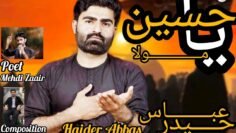 New Noha 2024| Ya Hussain as Mola | Haider Abbas | Muhram Nohay  | Haider Abbas | Album 06 1446