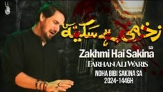 New Nohay 2024 | Zakhmi Hai Sakina | Farhan Ali Waris
