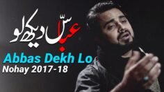 Noha Mola Abbas | Abbas Dekh Lo | Mohammad Raza Gopalpuri Nohay (2017)