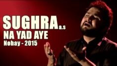 Nohay 2015 – Sughra ع Na Yad Aye | Syed Raza Abbas Zaidi | Noha 2015